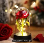 Rose with a light
